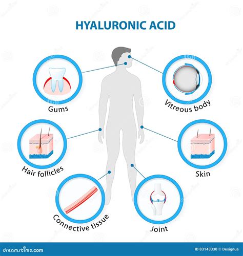 hyaluronic acid in human body.